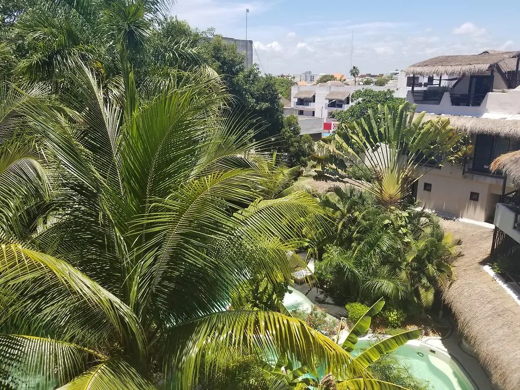 ****  La Tortuga Hotel & Spa - Adults Only Playa del Carmen Mexiko