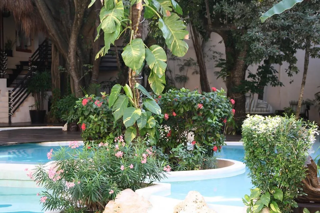 La Tortuga Hotel & Spa - Adults Only Playa del Carmen