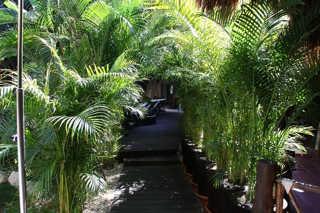 La Tortuga Hotel & Spa - Adults Only Playa del Carmen