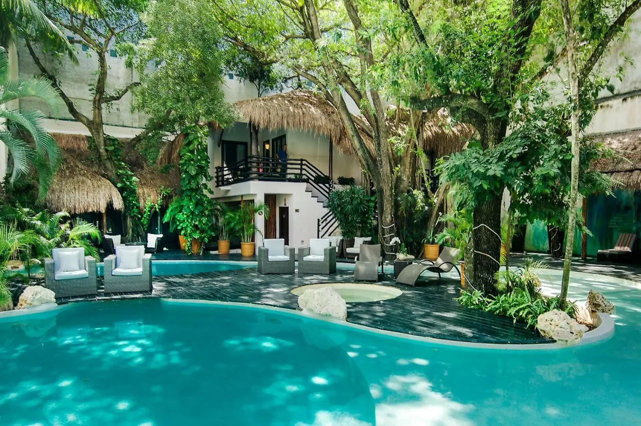 La Tortuga Hotel & Spa - Adults Only Playa del Carmen 4*,  Messico