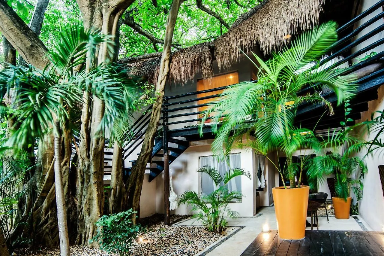 La Tortuga Hotel & Spa - Adults Only Playa del Carmen